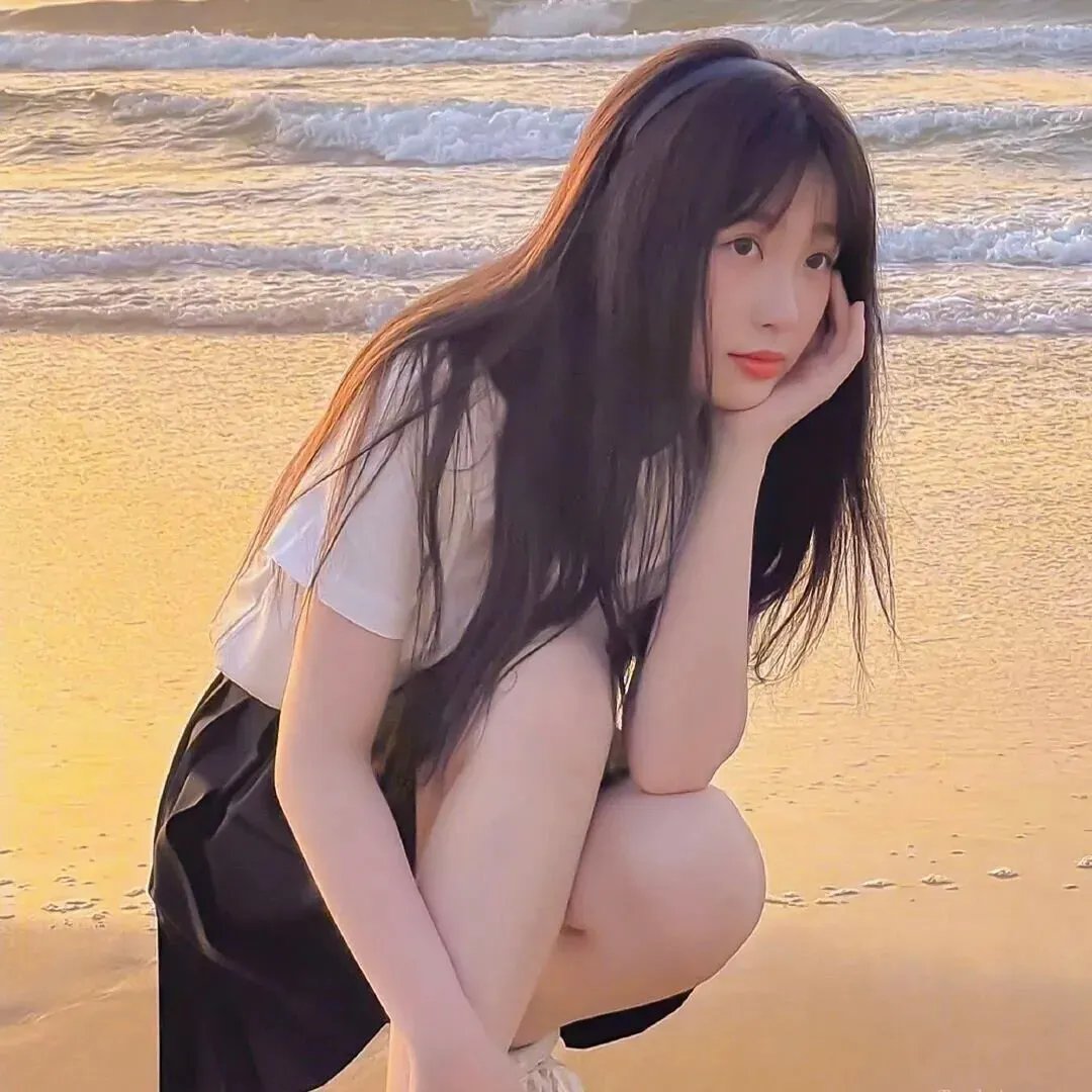 哈兰·科本的庇护所